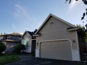 High-quality Renton lime wash paint in WA near 98056